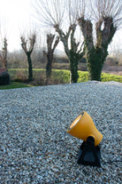 Lampada Frog by Martinelli Luce - Giallo
