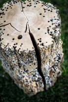 Sgabello Bricola Venezia Stool by Riva 1920