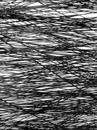DICN01__2