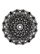 TNC01__2